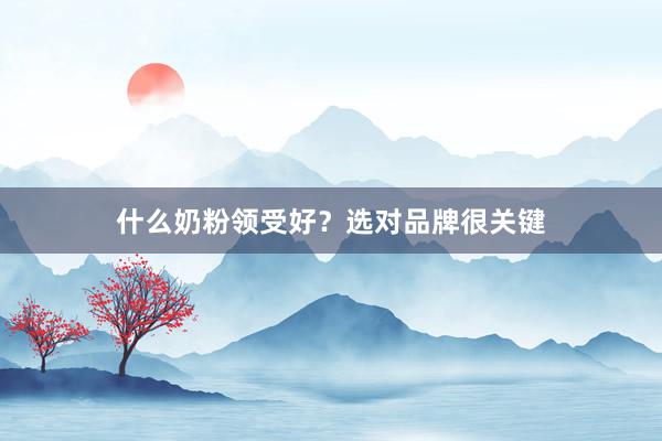 什么奶粉领受好？选对品牌很关键